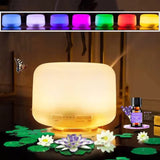 DIFUSOR HOLDMAY KP 500ML